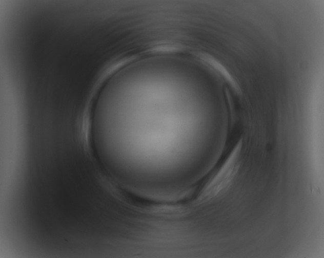 X0000101441179200807071356