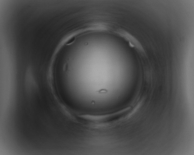 X0000101441192200807071356