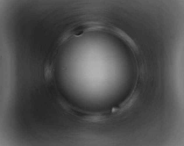 X0000101441193200807071356