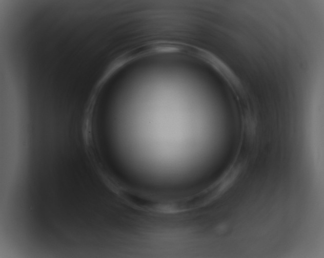 X0000101441194200807071356