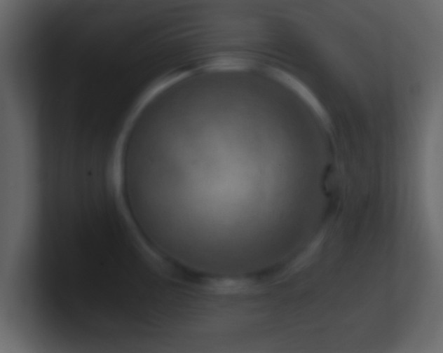 X0000101441195200807071356
