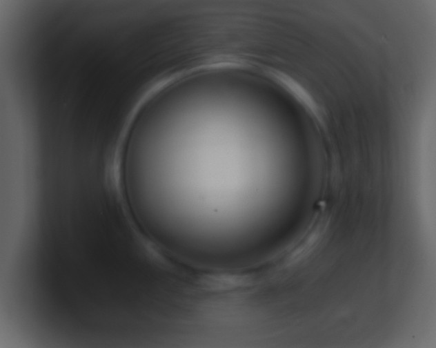 X0000101441197200807071356