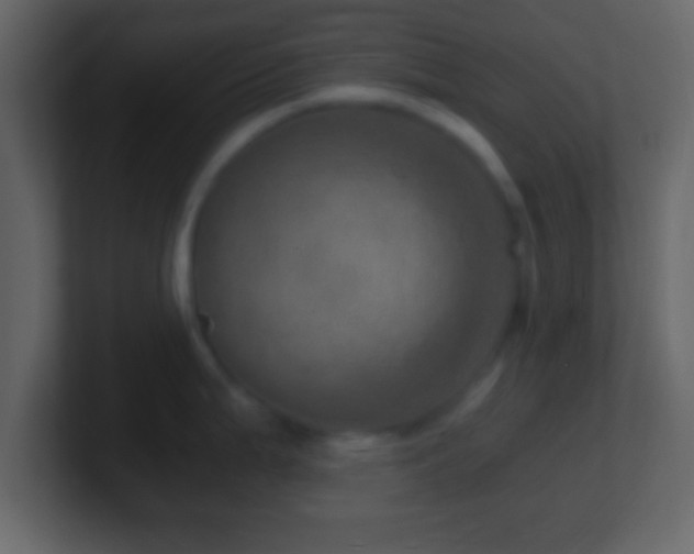 X0000101441199200807071356