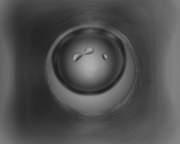 X0000101441200200807071356