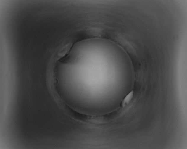 X0000101441201200807071355