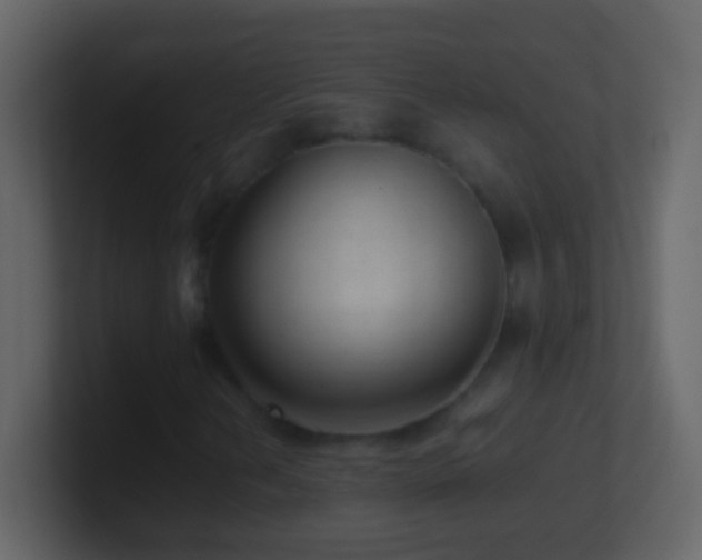 X0000101441202200807071355