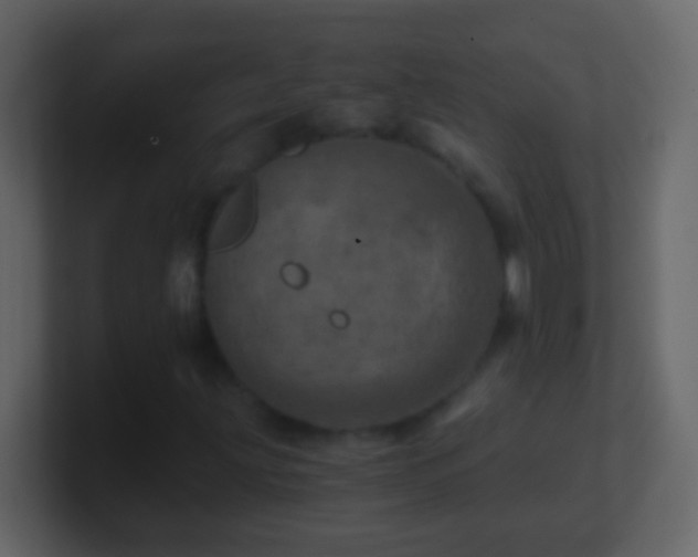 X0000101441203200807071355