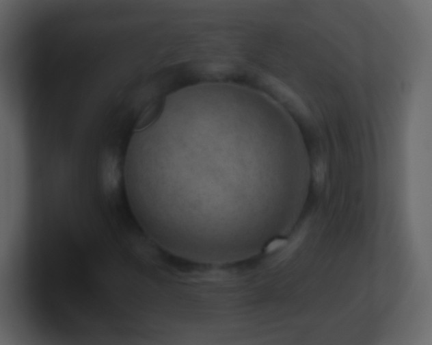 X0000101441204200807071355