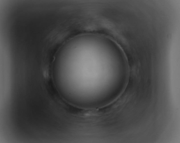X0000101441205200807071355