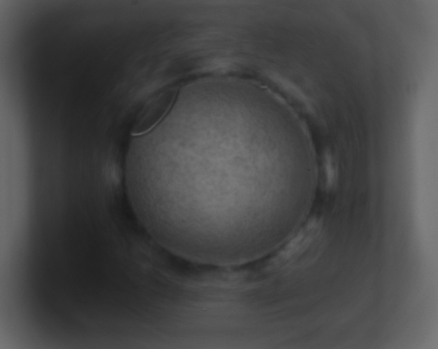 X0000101441206200807071355