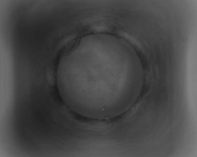 X0000101441207200807071355