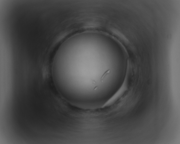 X0000101441208200807071355