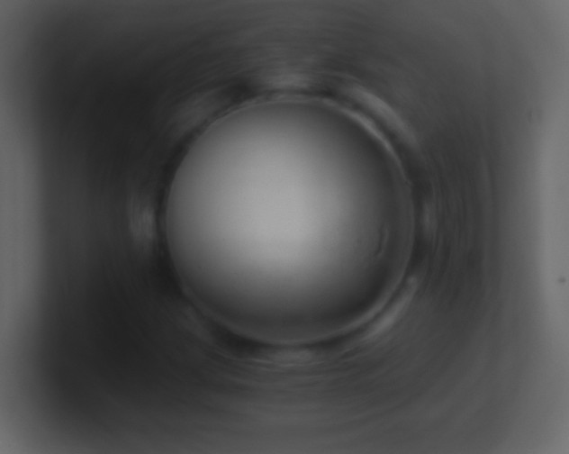 X0000101441209200807071355