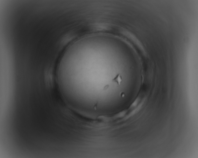 X0000101441210200807071355