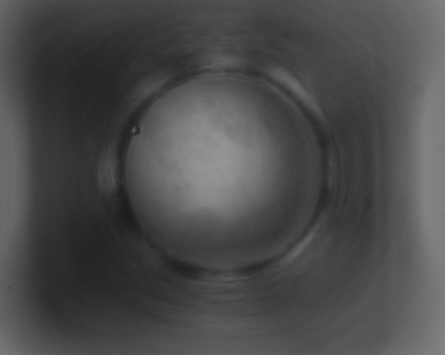 X0000101441213200807071355