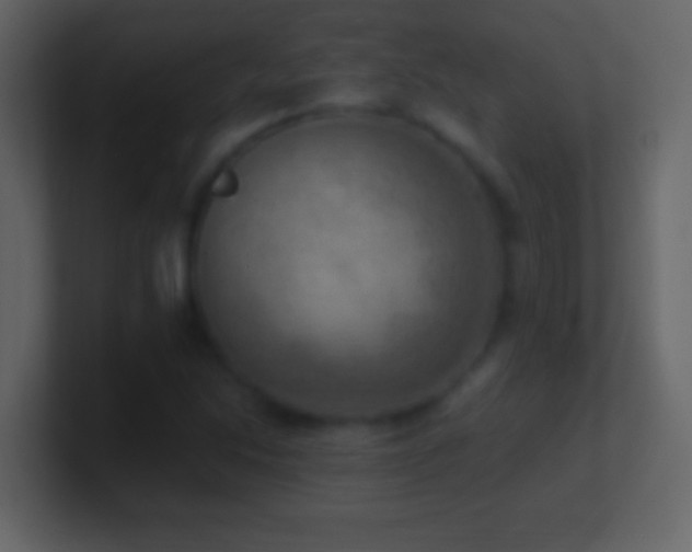 X0000101441214200807071355