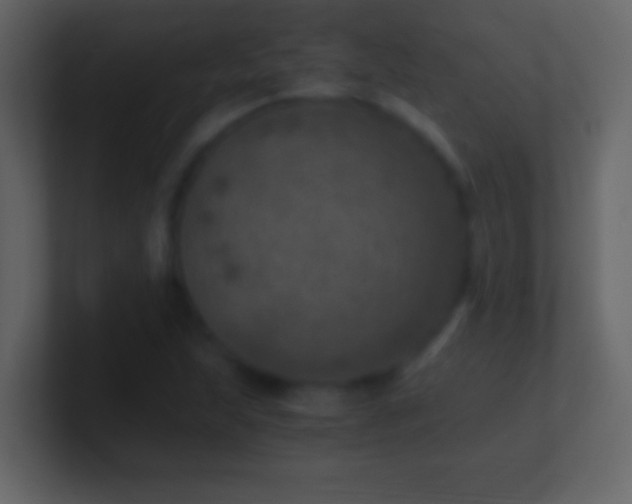 X0000101441215200807071355