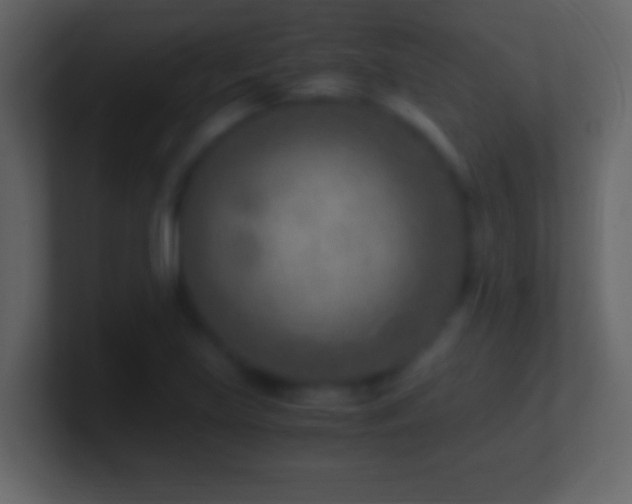 X0000101441219200807071355