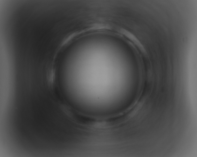 X0000101441220200807071355