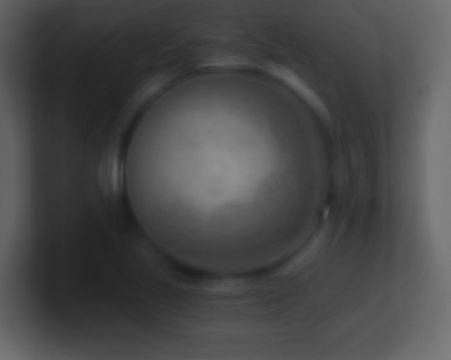 X0000101441221200807071355