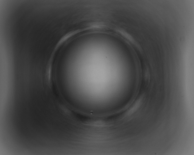X0000101441222200807071355