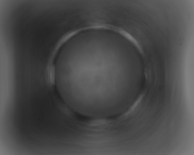 X0000101441223200807071356