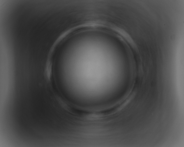 X0000101441224200807071356