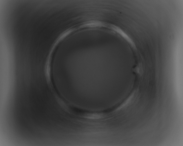 X0000101441229200807071356