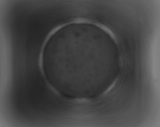 X0000101441231200807071356