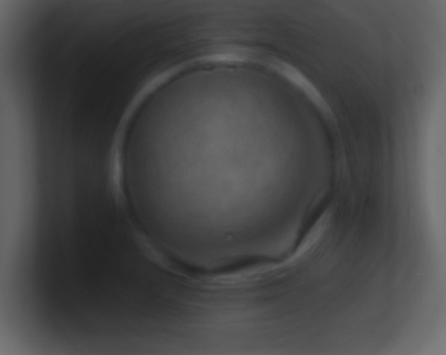 X0000101441232200807071356