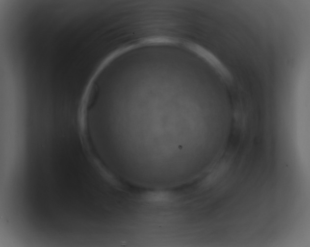 X0000101441236200807071356