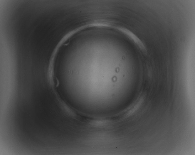 X0000101441240200807071356