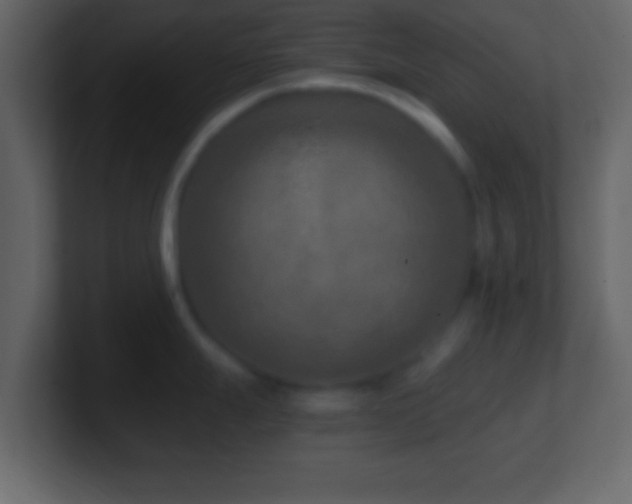 X0000101441247200807071356