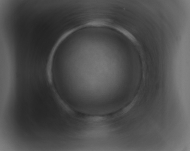 X0000101441248200807071356