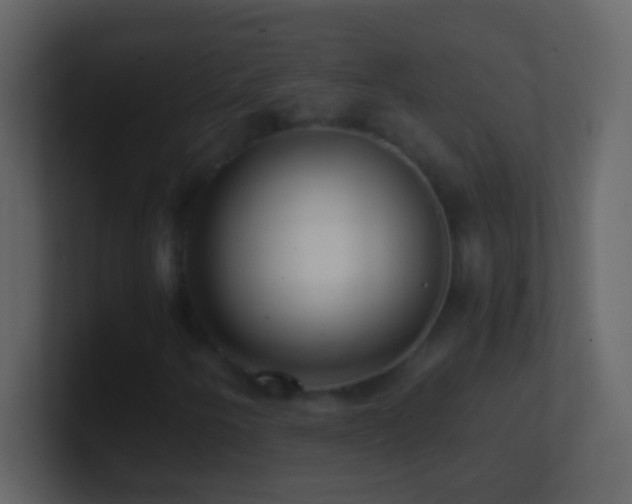 X0000101441250200807071355
