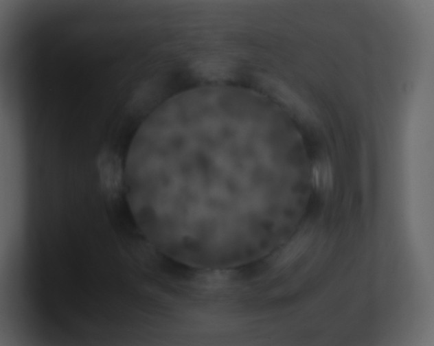 X0000101441251200807071355