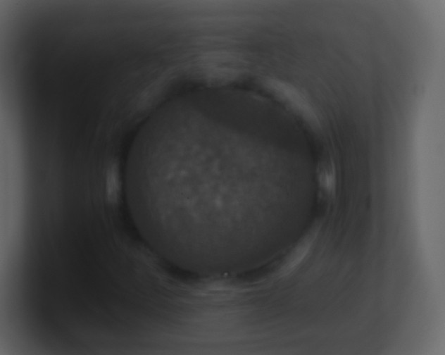 X0000101441252200807071355