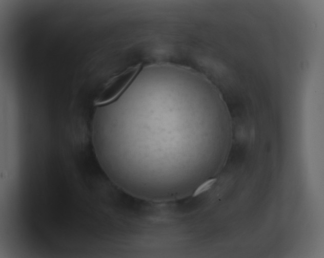 X0000101441253200807071355