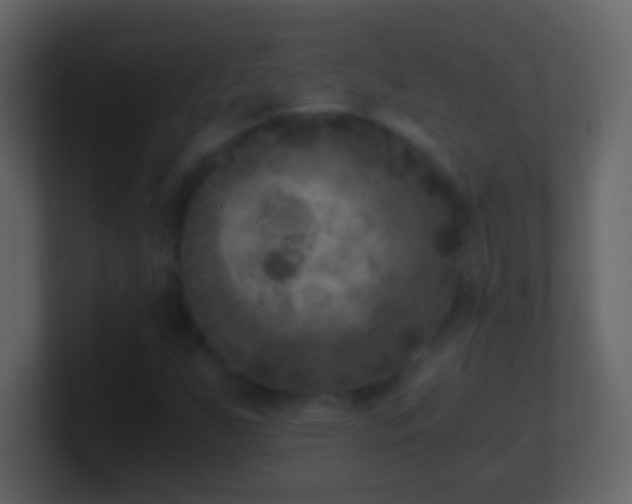 X0000101441255200807071355