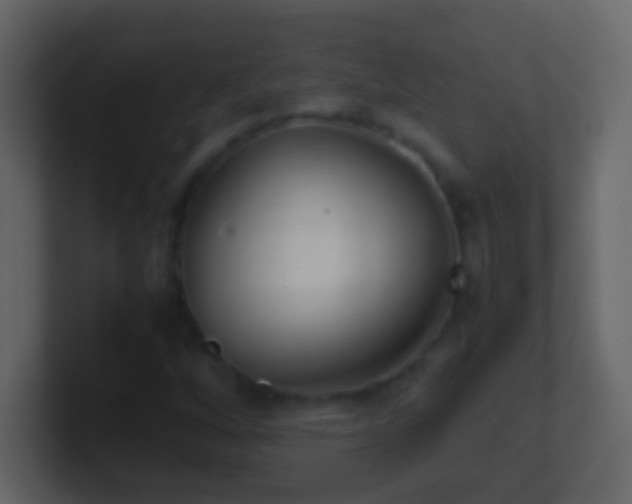 X0000101441256200807071355