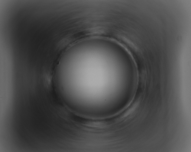 X0000101441257200807071355