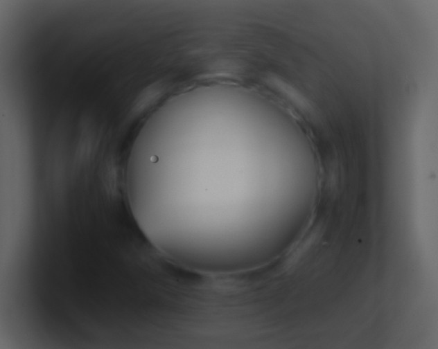 X0000101441258200807071355