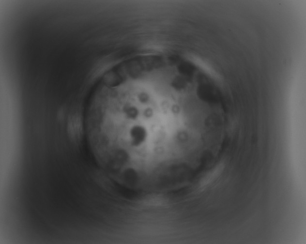 X0000101441259200807071355
