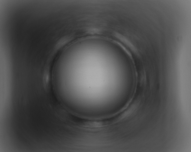 X0000101441261200807071355