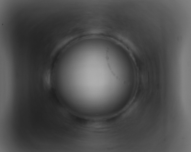 X0000101441262200807071355