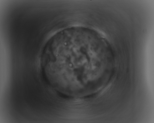 X0000101441263200807071355