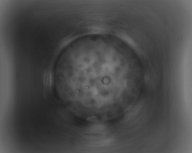 X0000101441267200807071355