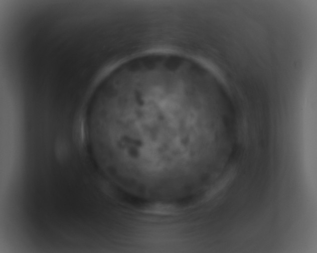 X0000101441271200807071355