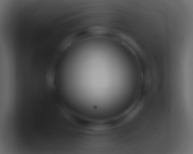 X0000101441273200807071355