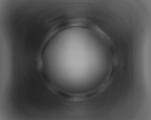 X0000101441274200807071355